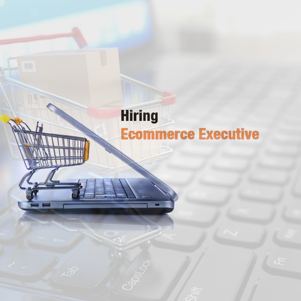 E Commerce Executive/ Manager