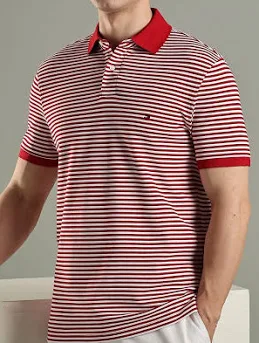 Tommy Hilfiger Men's Cotton Striped Regular Fit T-Shirt
