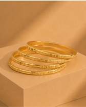Srushti Bangle. ( Set of 4)