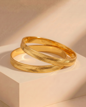 Aashvi Bangle ( Set of 2)