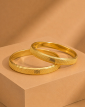 Sayali Bangle. ( Set of 2 )
