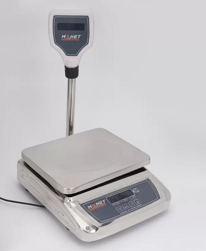 ARYA SS FP 30KG Weighing Scale  (Grey)