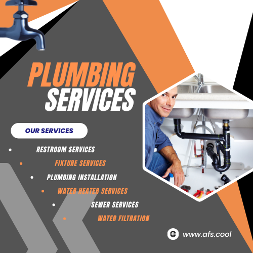 Professional Plumbing Services